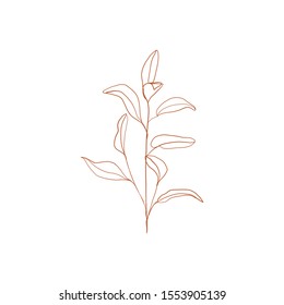Branch of tea plant vector illustration. Scratch board style imitation. Hand drawn image. vector silhouette of the plant of the cowberry on white background