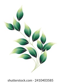 Branch with tender blurred leaves of eucalyptus. Postcard, print, vector