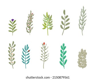 branch textures flat vector illustration set