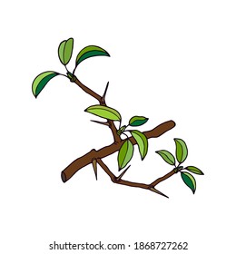 Una rama con espinas. Ilustración de material vectorial eps10. Dibujo manual. 