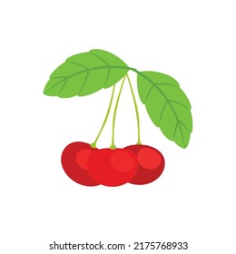 A branch with three cherries. On a white background, isolated. Illustration in vector format.