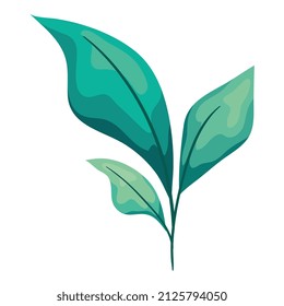 branch with three leaf green