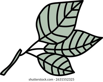 A branch with three leaves outlined in bold lines and filled with subtle shading. The leaves are drawn with clear veins and a simple structure. Cartoon vector illustration.