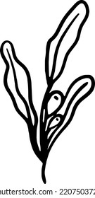 branch with three leaves and two berries for decoration black lines coloring book