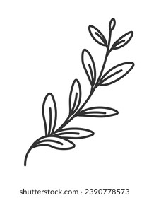 Branch of thyme, aromatic and fragrant spice for cooking and preparing food. Ingredient with leaves and twig, stem and foliage. Isolated monochrome outline icon. Vector in flat style illustration