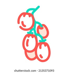branch tomato color icon vector. branch tomato sign. isolated symbol illustration
