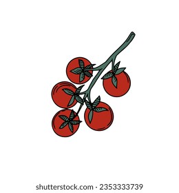  a branch of tomato. red ripe tomato. vector illustration