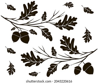 A branch of a tree with acorns and leaves falling and flying away. Autumn drawing in black on a white background.