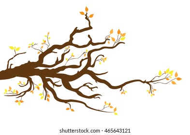 Branch a tree in autumn, autumn tree with yellow leaves. Vector illustration.