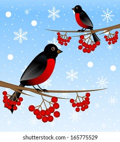 branch tree with berry wild ash and bird bullfinch, vector illustration