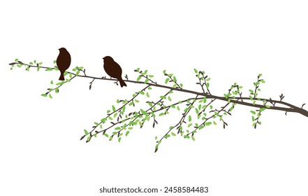 Branch tree, birds, spring, silhouette, sparrows two, green leaves, vector illustration isolated on white