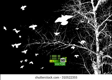 branch of a tree with flying birds. Vector