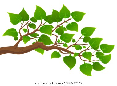 Branch Tree Green Leaves Stock Vector (Royalty Free) 1088572442 ...