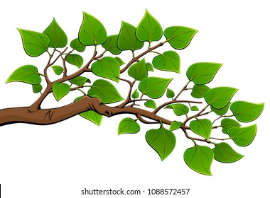 Branch of a tree with green leaves.