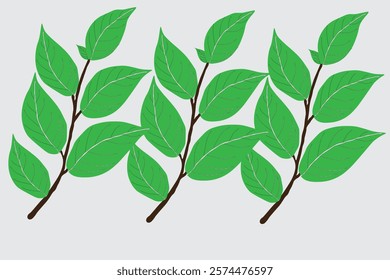 A branch of a tree with green leaves and a grey background vector