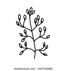 Branch of  tree with leaves in style of doodle. Element for design of postcard.