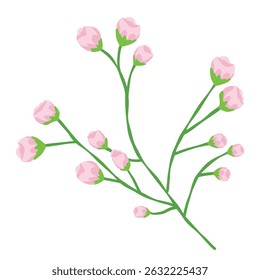 Ramo de uma árvore com uma flor de botões rosa pequeno, isolado na ilustração de fundo branco