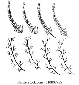 branch tree pollen nature Line