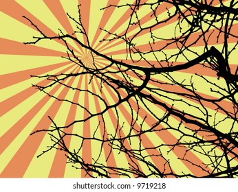 branch of tree with rays background