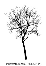  Branch Tree Silhouette
