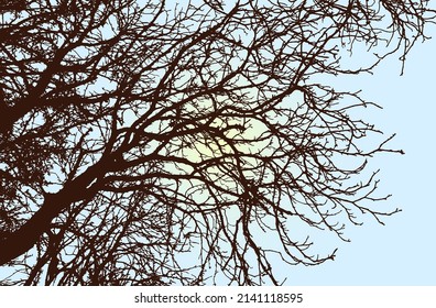 Silueta de árbol de rama, vista al cielo. Ilustración del vector