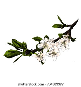 branch tree sketch vector graphics color picture