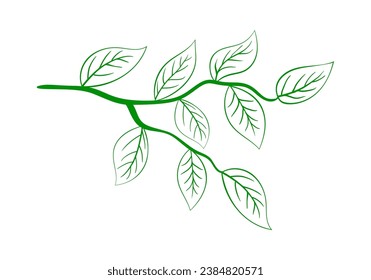 Branch of tree. Suitable for different designs. Vector Illustration.