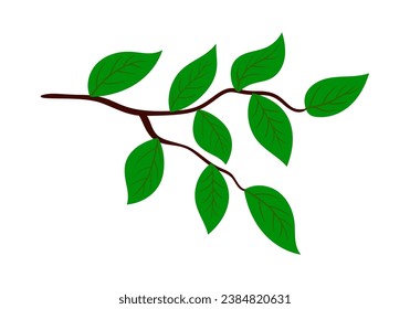 Rama de árbol. Adecuado para diferentes diseños. Ilustración vectorial.