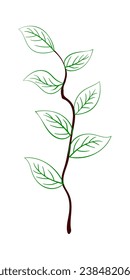 Branch of tree. Suitable for different designs. Vector Illustration.
