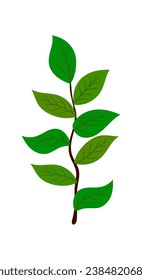 Branch of tree. Suitable for different designs. Vector Illustration.