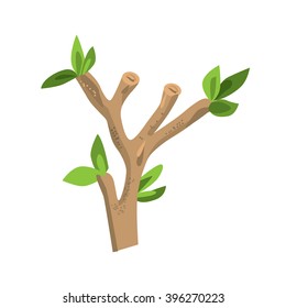 branch. tree vector