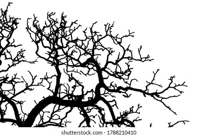 Ilustración vectorial de árbol de rama para diseñar su afiche web, banner, fondo, plantilla, etc.