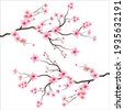 blossom branch
