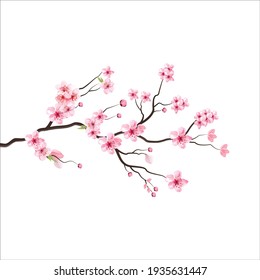 branch tree vector illustration summer clipart autumn clipart nature forest, Background cherry blossom spring flower Japan,  Branch of blooming sakura with flowers, cherry blossom