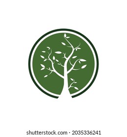 branch tree vector illustration summer clipart autumn clipart nature forest