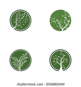 branch tree vector illustration summer clipart autumn clipart nature forest