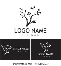 branch tree vector illustration summer clipart autumn clipart nature forest
