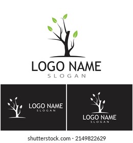branch tree vector illustration summer clipart autumn clipart nature forest