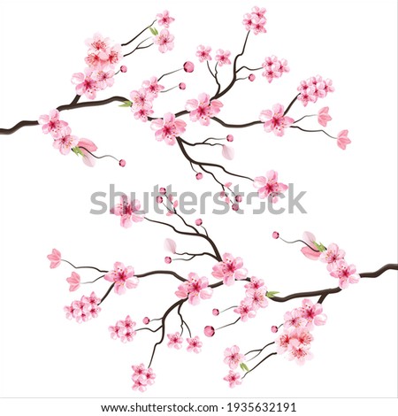 Similar – Image, Stock Photo Tree with pink flowers in spring with blue sky and sunshine in front of an old building in beige and natural colors in the West End of Frankfurt am Main in Hesse, Germany