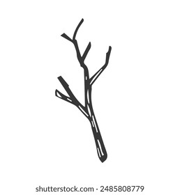 Branch of a tree. Vector illustration of twig. Hand drawn old tree branch on isolated background