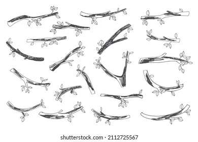 Conjunto de ilustraciones de líneas vectoriales de árbol de rama
