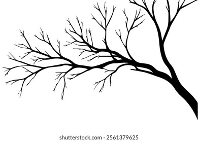 Branch of a tree without leaves. Silhouette. Isolated vector illustration on a white or transparent background.