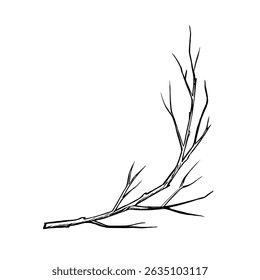 Une branche d'arbre sans feuilles. Image vectorielle graphique. Illustration dessinée à la main en noir et blanc. Sur fond blanc. Idéal pour les autocollants, les bannières, les affiches et les emballages, les cartes postales, les étiquettes et les imprimés.