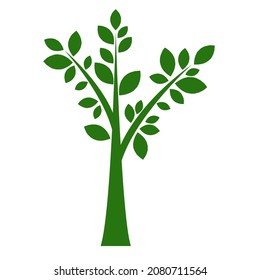 naturaleza de flor de hoja de ramas 