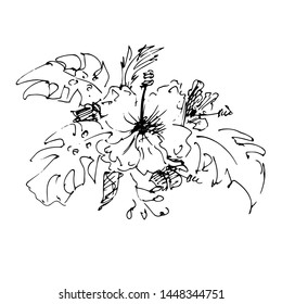 Branch with tropical leaves and hibiscus. Sketch. Vector illustration.