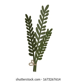 Branch. Twig. Plant. Vector image .Vector image of a branch.
