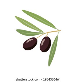 Branch with two black olives and leaves. Overhead view of olives on green branch. Vegetable for the Mediterranean or vegan diet. Flat design style for menu, cafe, restaurant, poster, label, sticker.