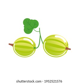 Rama con dos arándanos verdes con una hoja. Vector aislado sobre fondo blanco.