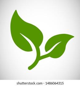 Branch with two leaves icon