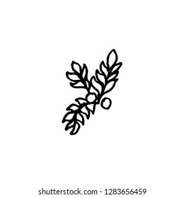 branch vector doodle sketch isolated on white background